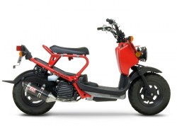 Scooter_51678ca004237.jpg